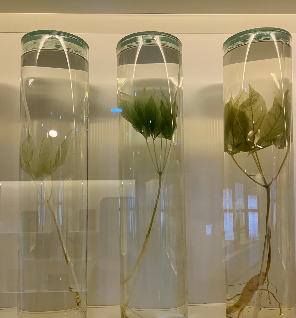 Seoul, 2022 (Day&nbsp;2)